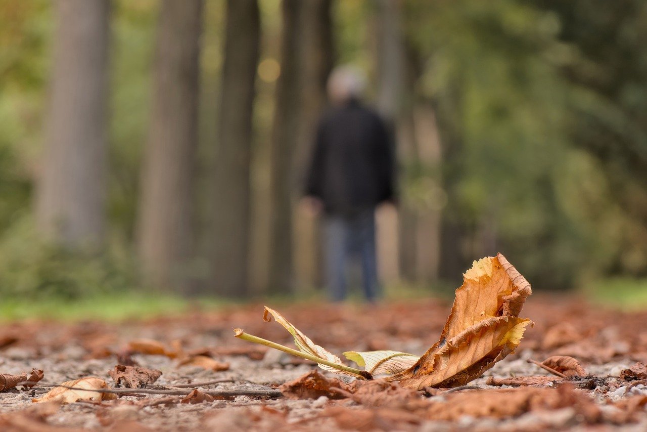 Coping with Grief: Mental Health Support in Loss