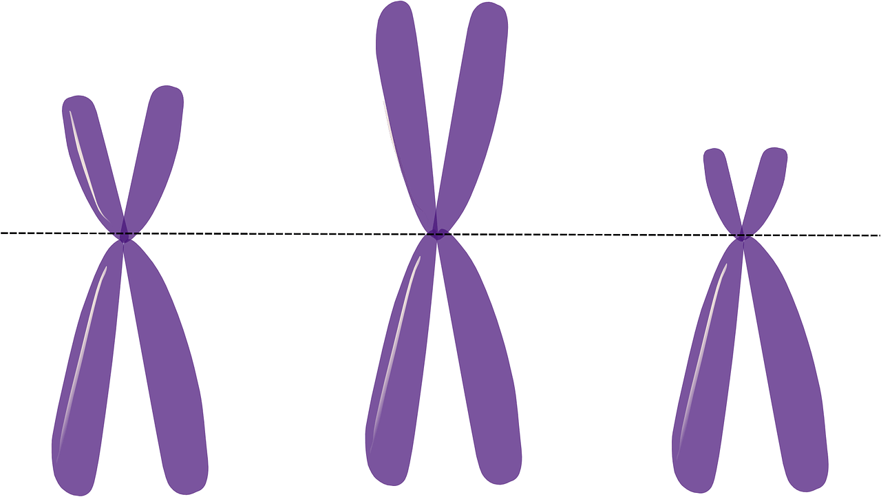 Exploring the Role of Genetics in Mental Health Disorders